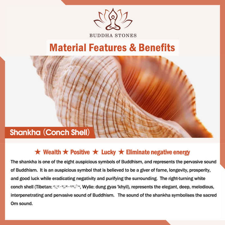 Tibetan Handmade Natural Shankha Colorful Conch Shell Seashell Wealth Home Decoration - image 15