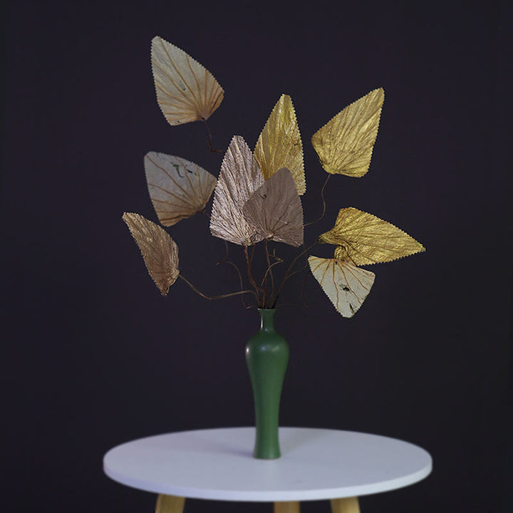 Natural Dried Triangle Lotus Leaf Stemmed Plant Bouquet Home Decoration Ornaments - image 0