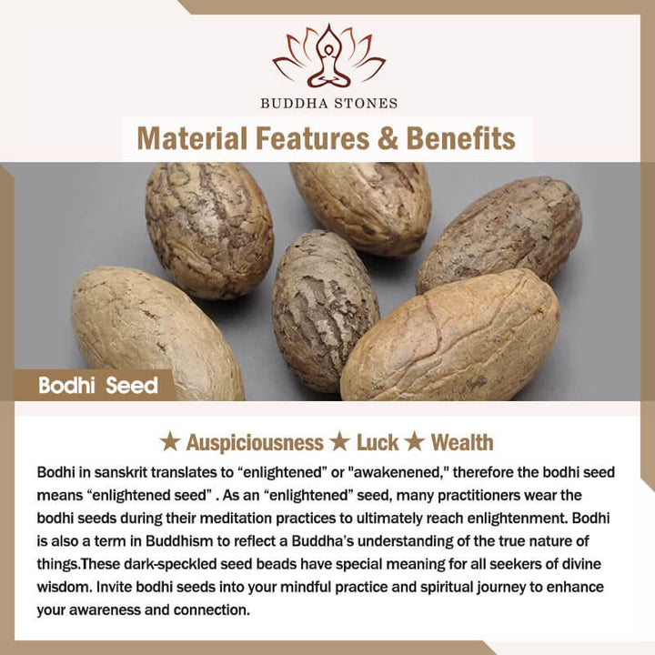 Buddha Stones Handmade Natural Coffee Beans Bodhi Seed Luck Bracelet - image 6