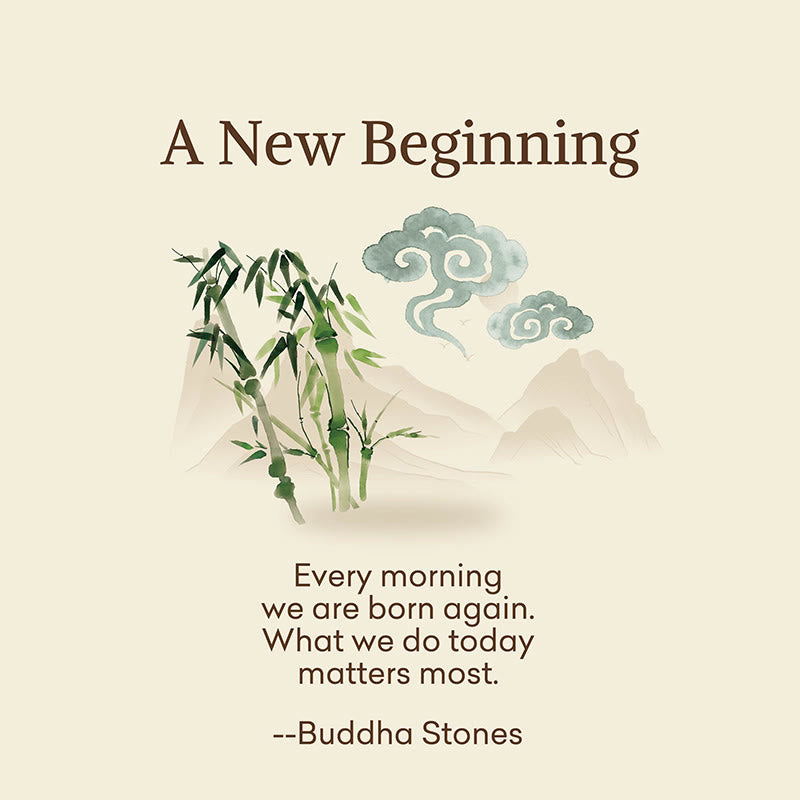 Buddha Stones "A New Beginning" Bamboo Micro Crew Women's Socks Includes Gift Message Card - image 2