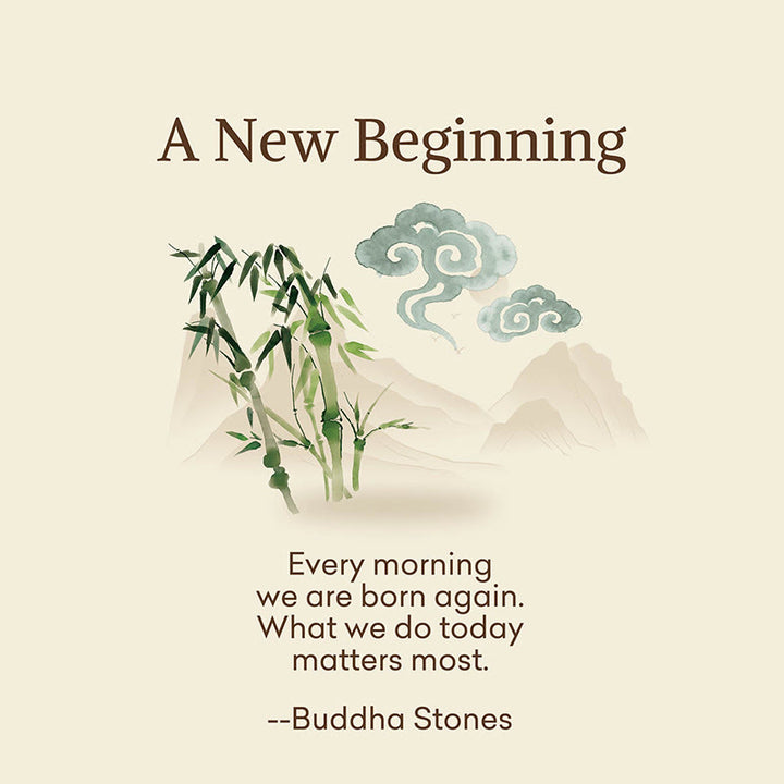 Buddha Stones "A New Beginning" Bamboo Micro Crew Women's Socks Includes Gift Message Card - image 2
