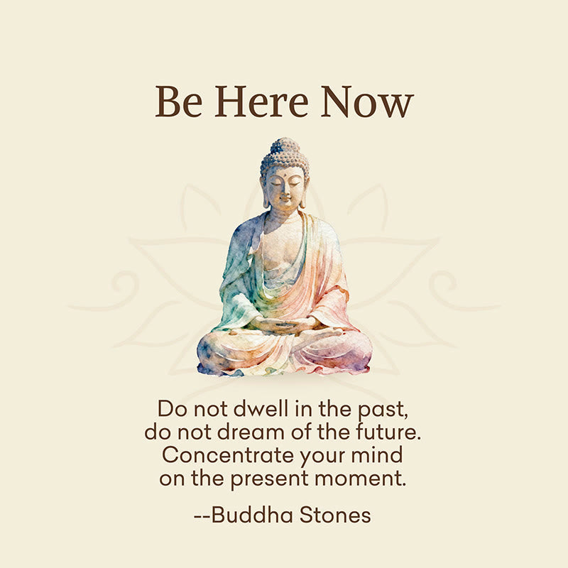 Buddha Stones "Be Here Now" Casual Buddha Lotus Dragonfly Women's Socks Includes Gift Message Card - image 2