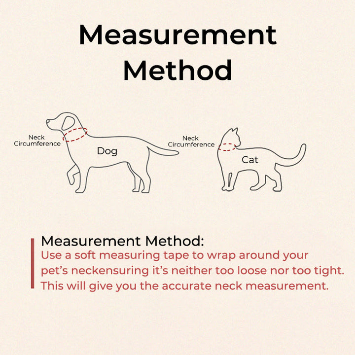 Buddha Stones Metal Ruyi Longevity Lock Red String Blessing Luck Adjustable Cats Small Dogs Pet Collar - image 5