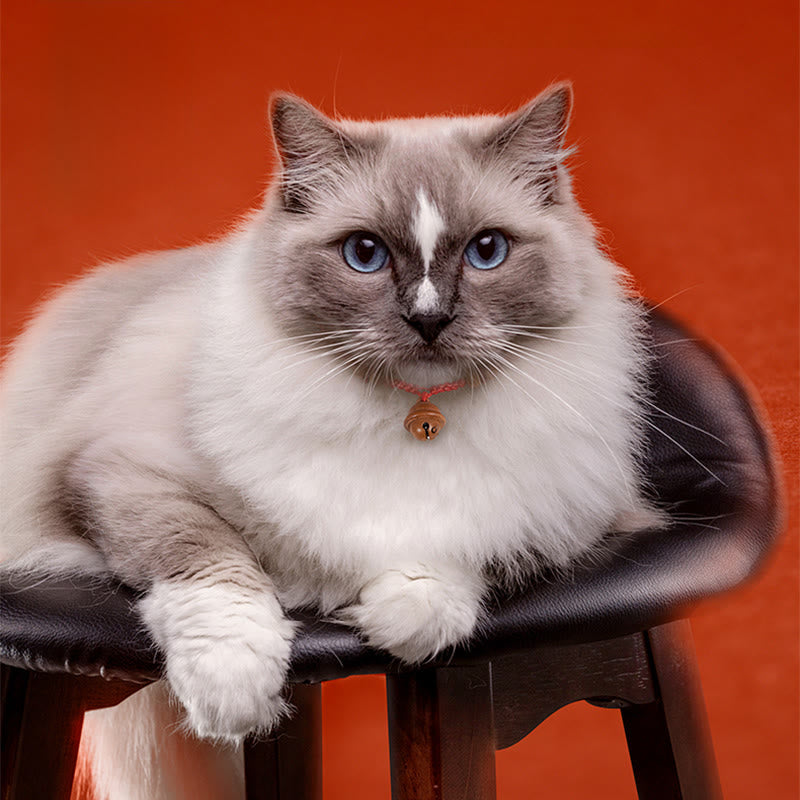 Buddha Stones Red String Peach Wood Bead Bell Strength Adjustable Cats Small Dogs Pet Collar - image 12