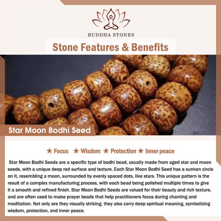 Buddha Stones Star Moon Bodhi Seed Lotus Pod Handcrafted Wisdom Round 108 Bead Mala - image 5