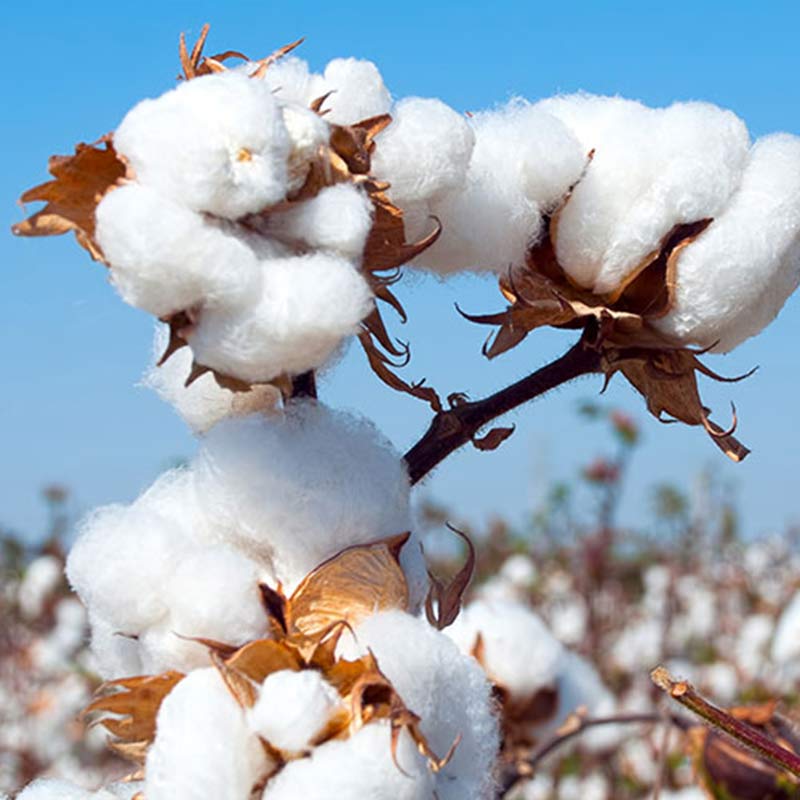 Buddha Stones Meditation Zen Prayer Spiritual Tai Chi Qigong Practice Unisex Embroidery Clothing Set - image 19