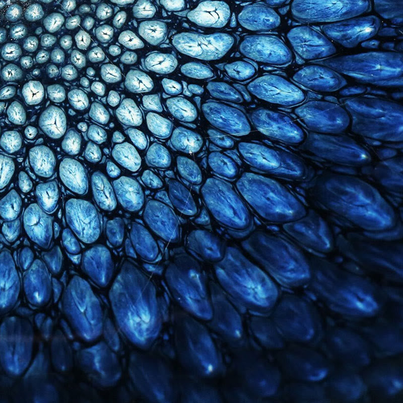 Buddha Stones Handmade Blue Francolinus Spot Chinese Jianzhan Ceramic Teacup Kung Fu Tea Cup Bowl - image 4