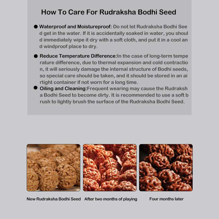 Buddha Stones Tibet Rudraksha Bodhi Seed Wealth Auspiciousness Bracelet - image 33