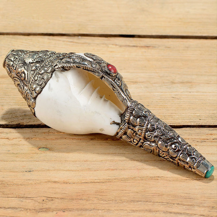 Tibetan Natural Shankha Conch Shell Seashell Wealth Lucky Home Decoration - image 7