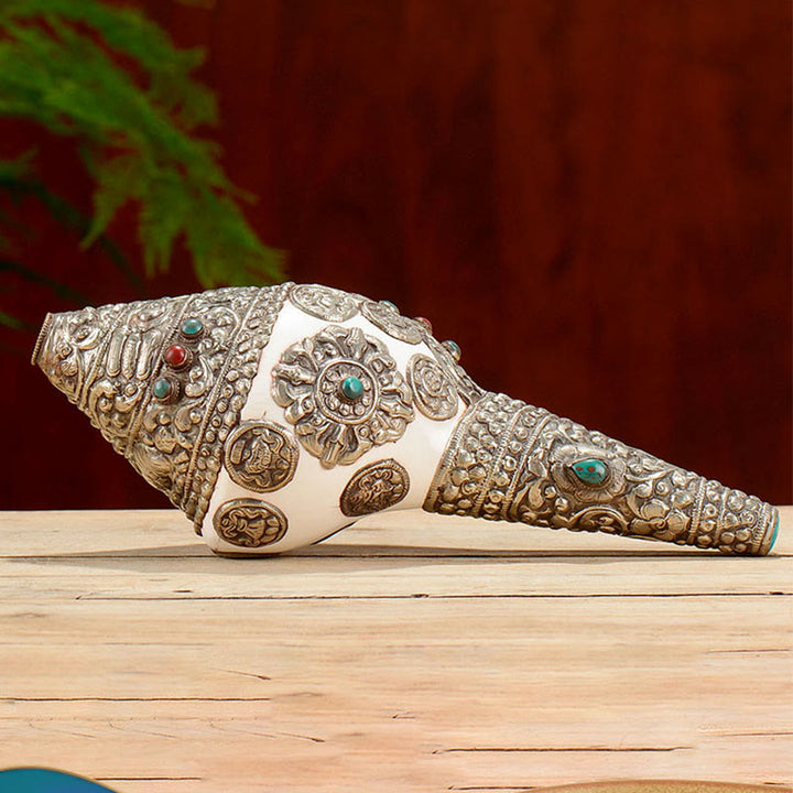 Tibetan Natural Shankha Conch Shell Seashell Wealth Lucky Home Decoration