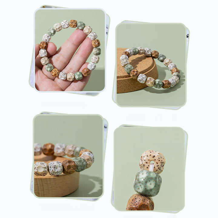 Buddha Stones Natural Colorful Bodhi Seed Auspiciousness Wealth Bracelet