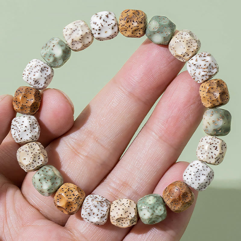 Buddha Stones Natural Colorful Bodhi Seed Auspiciousness Wealth Bracelet