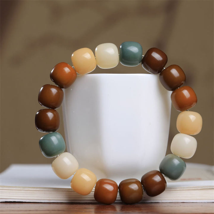 Buddha Stones Multicolored Bodhi Seed Keep Away Evil Spirits Bracelet