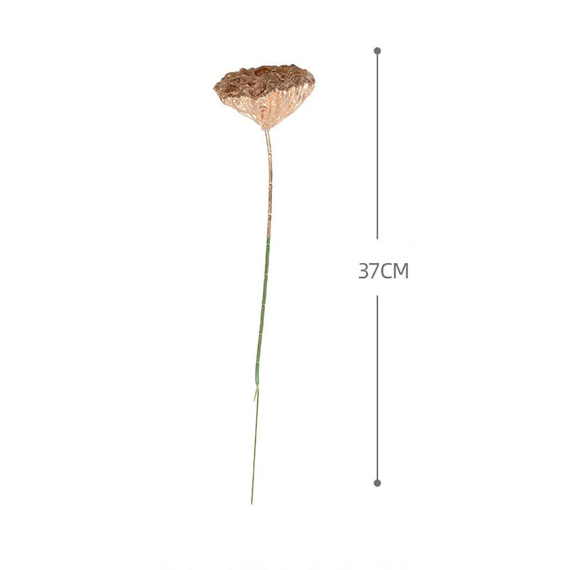 Gold Dried Lotus Pod Stemmed Plant Table Bouquet Decoration