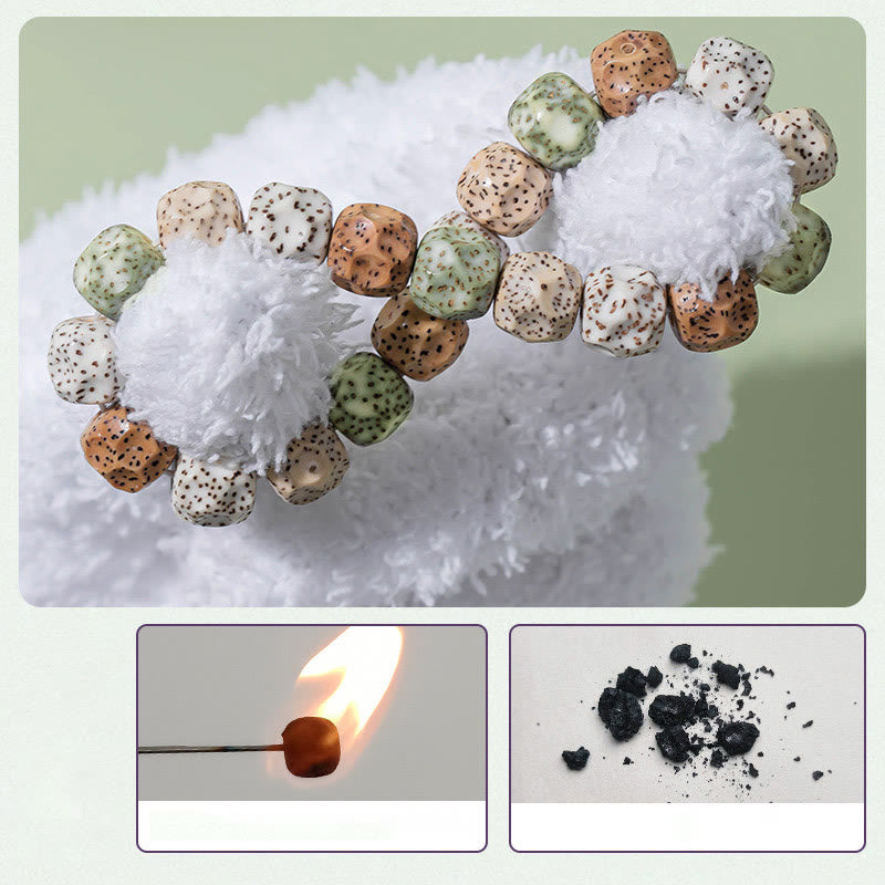 Buddha Stones Natural Colorful Bodhi Seed Auspiciousness Wealth Bracelet