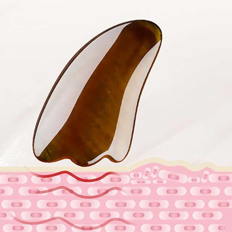 Resin Gua Sha Facial Whole Body Massage Comb Tool Set